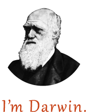 imDarwin